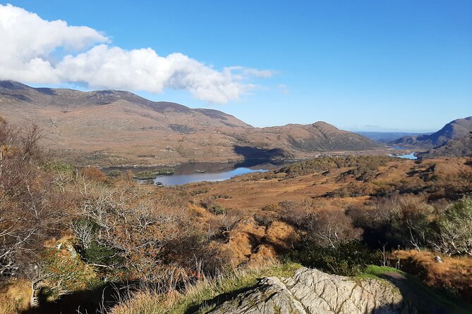 Taxi Tour to Blarney Castle, Cork City and Kinsale - Tour Highlights and Activities