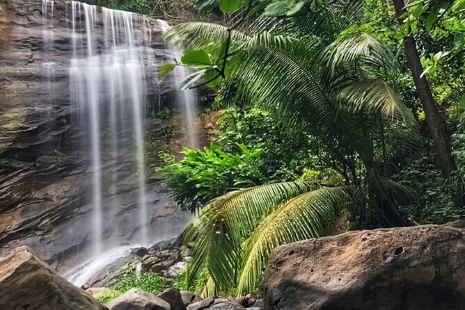 Taxi & Tours in Grenada , Chocolate factory, & more. - The Sum Up