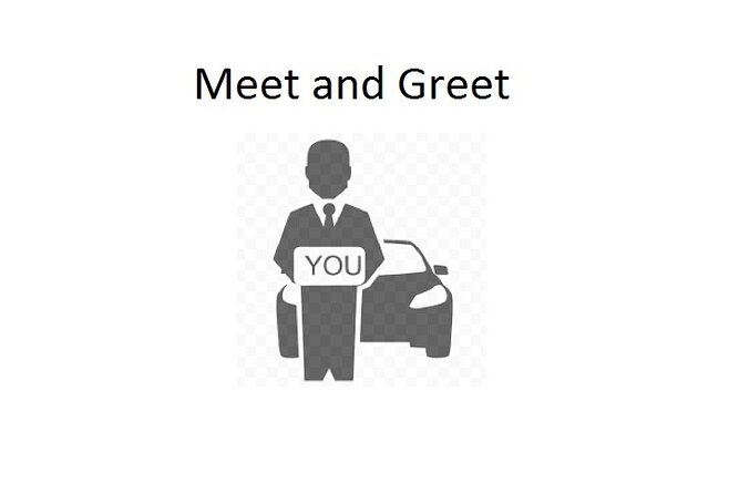 Taxi Transfer Executive GRU Airport to Radisson Hotel Oscar Freire - Experience Overview
