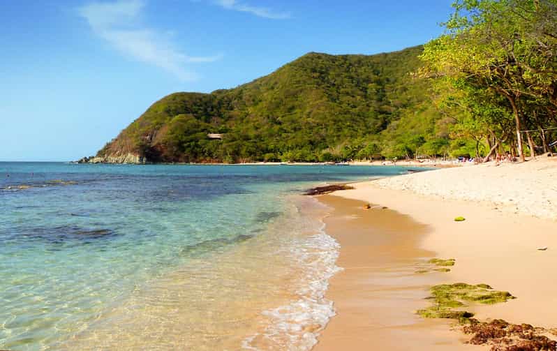 Tayrona Bahia Concha With Lunch - Pricing and Discounts