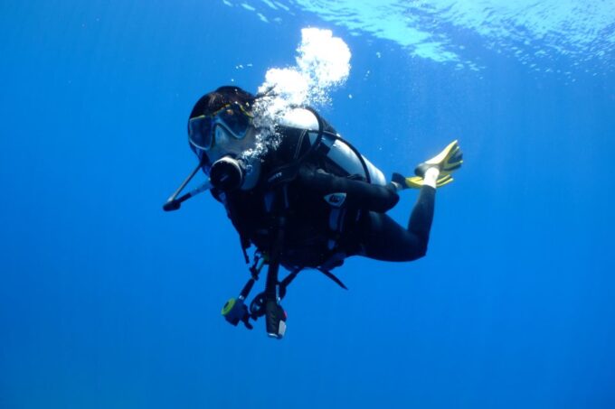 Tayrona National Park: Scuba Diving Tour for Beginners - Recap