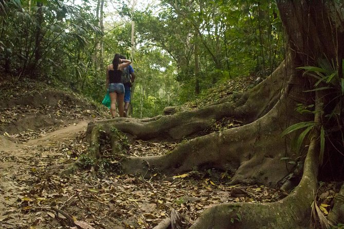 Tayrona National Park - Trek to Cabo San Juan - Unspoiled Jungle Trekking