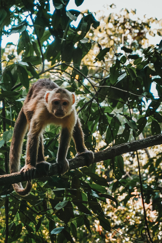 Tayrona Park & Cabo San Juan - Inclusions and Exclusions
