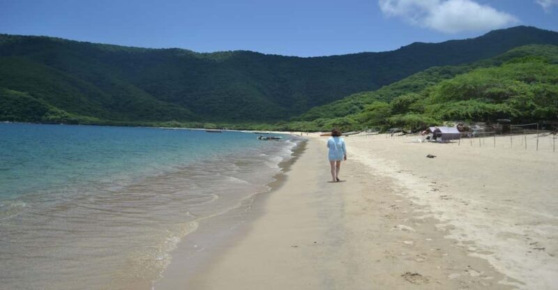 Tayrona Park: Group Tour To Concha Bay - Park Entrance and Hike