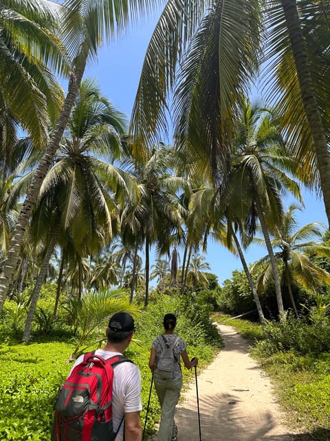 Tayrona Park Private Day Tour to Cabo San Juan: Hike & Beach - Preparation and Requirements