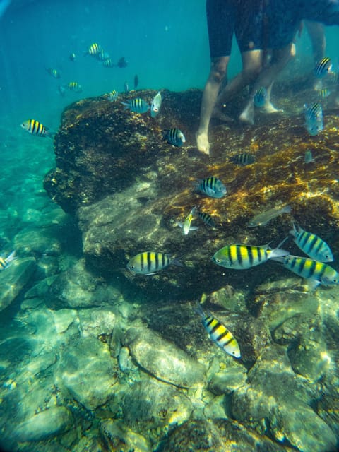 TAYRONA, SNORKEL & BEACH - Pricing and Booking