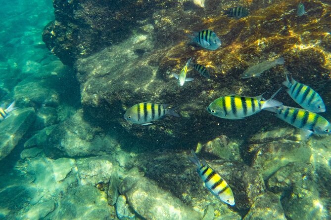 Tayrona, Snorkel & Beach - Included Activities and Amenities