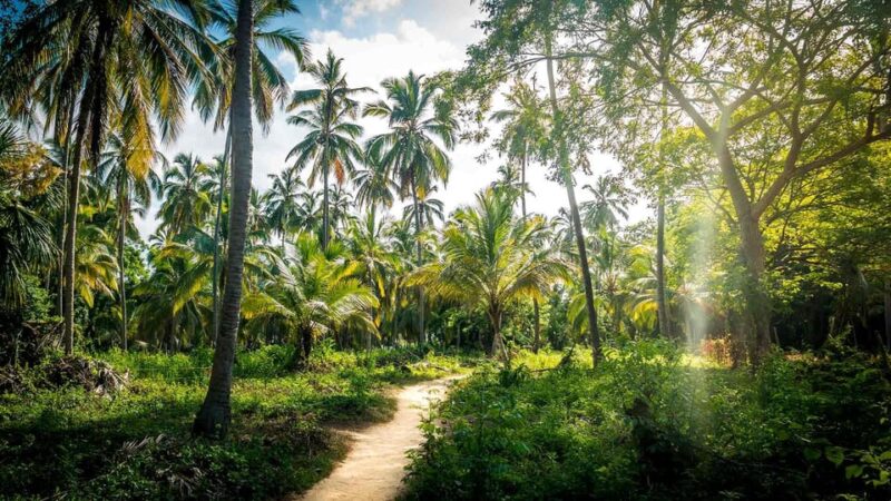 Tayrona Tour - Cape San Juan Canaveral Reef - Drop-off Locations