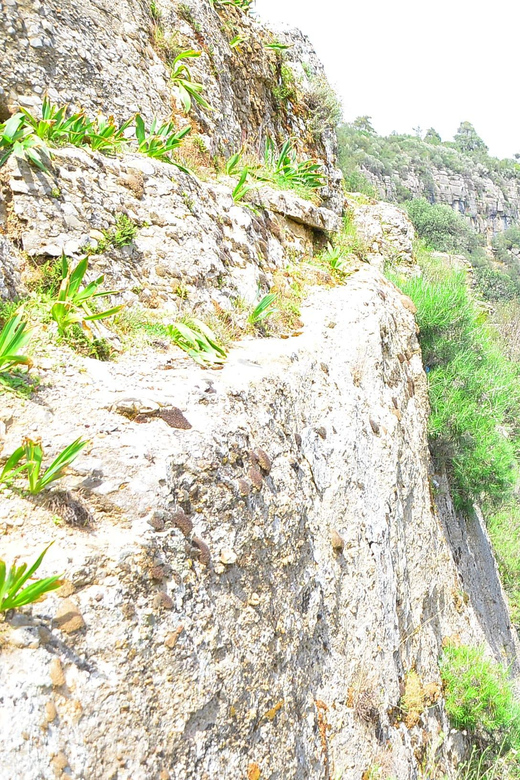Tazı Canyon, Avatar Lands and Selge Ancient City Tour - Itinerary and Experience