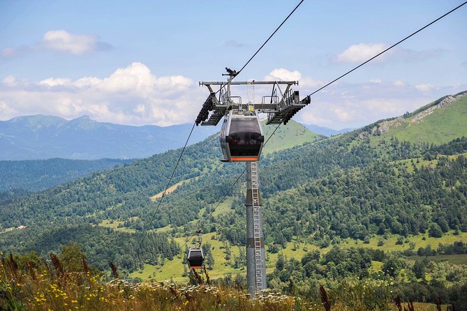 Tbilisi - Bakuriani - Borjomi Private Transfer - Inclusions and Pricing