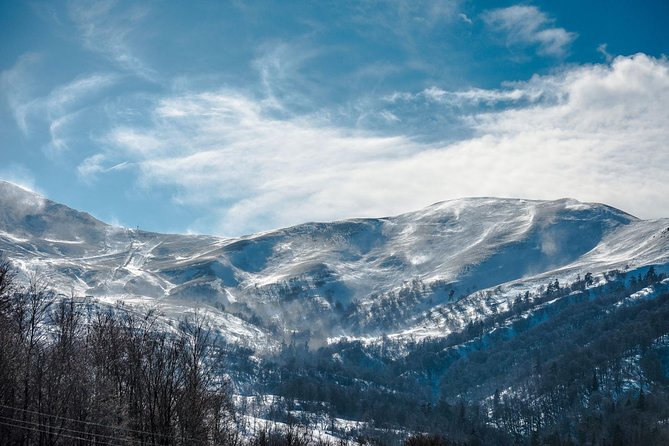 Tbilisi - Bakuriani - Borjomi Private Transfer - Booking and Participation Information