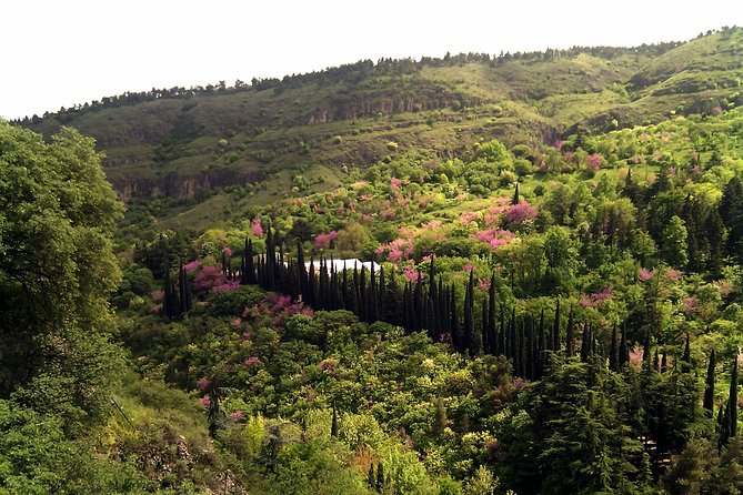 Tbilisi & Mtskheta City Tour - Guides Mentioned
