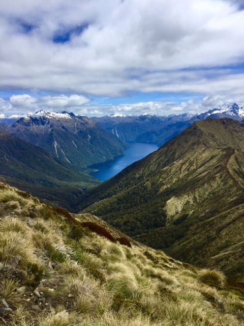 Te Anau: 30-Minute Fiordland National Park Scenic Flight - Group Size and Languages