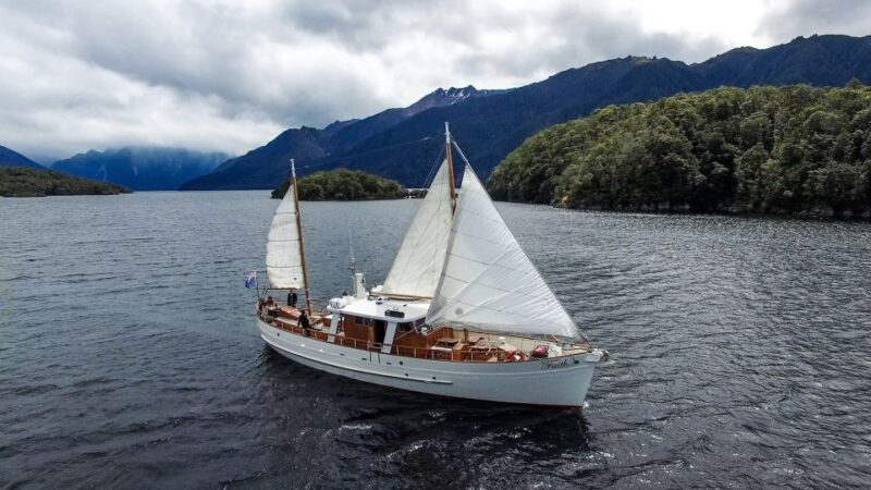 Te Anau: Evening Scenic Cruise - Experience Highlights