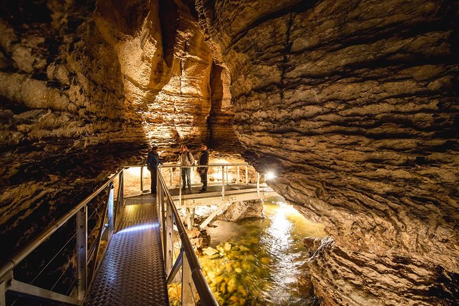 Te Anau Glow Worm Caves Tour - Highlights of the Experience
