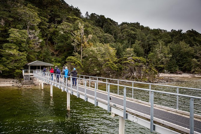 Te Anau Glow Worm Caves Tour - Meeting Point and Pickup