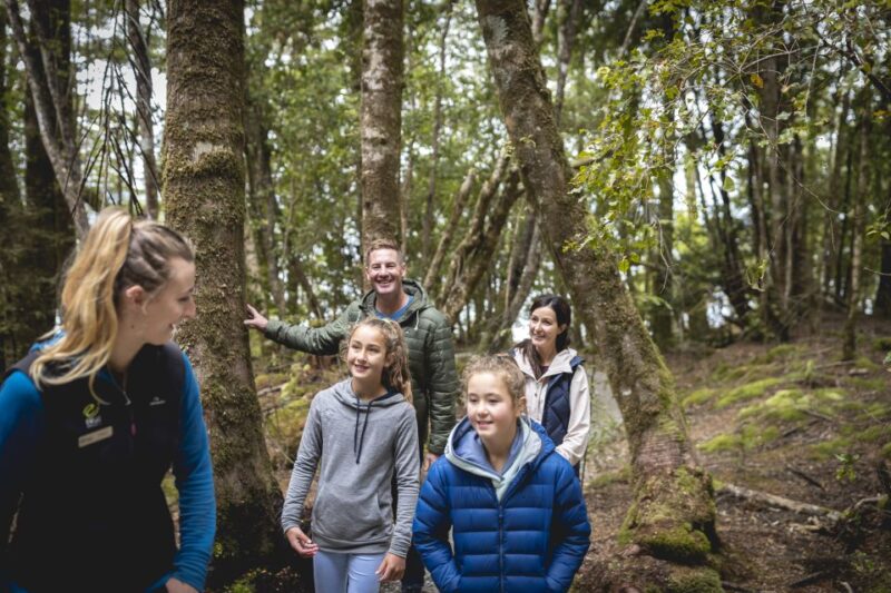 Te Anau: Glowworm Caves Guided Tour - Tour Inclusions and Meeting Point