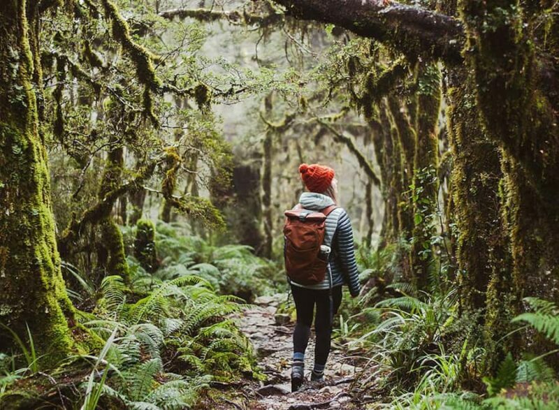 Te Anau: Lake Marian Guided Day Hike with Lunch - Final Thoughts