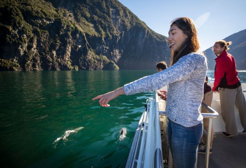 Te Anau: Milford Sound Bus, Cruise, Observatory, & Lunch - Customer Feedback