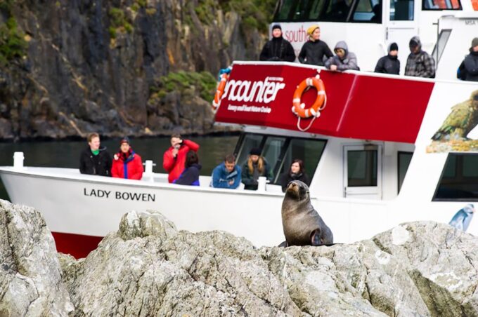 Te Anau: Milford Sound Bus, Cruise, Observatory, & Lunch - Scenic Journey to Milford Sound