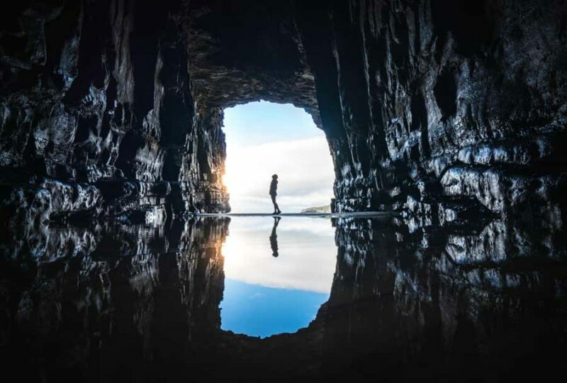 Te Anau to Dunedin via the Catlins & Invercargill 1 Way Tour - Key Points
