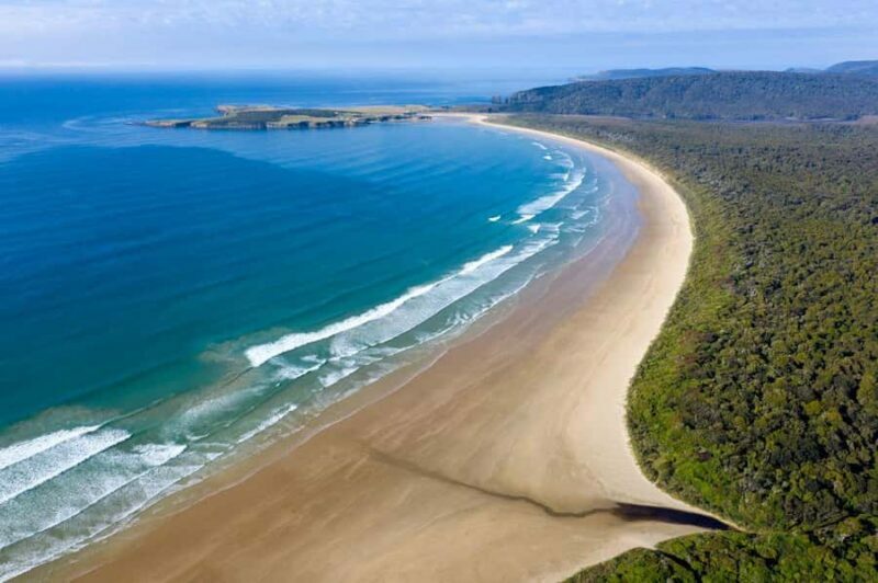 Te Anau to Dunedin via the Catlins & Invercargill 1 Way Tour - The Whole Picture: What to Expect on This Tour