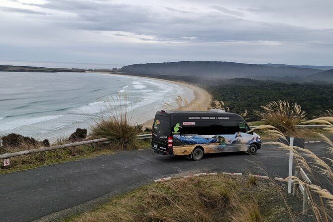 Te Anau to Dunedin Via The Catlins Small-Group Tour (One-Way) - Final Words: Is This Tour Right for You?
