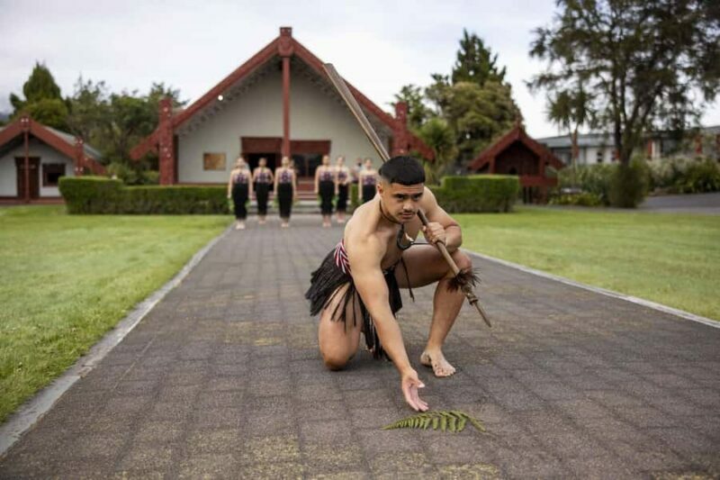 Te Puia: Te R Guided Day Tour + Haka Cultural Performance - Why This Tour Provides Good Value