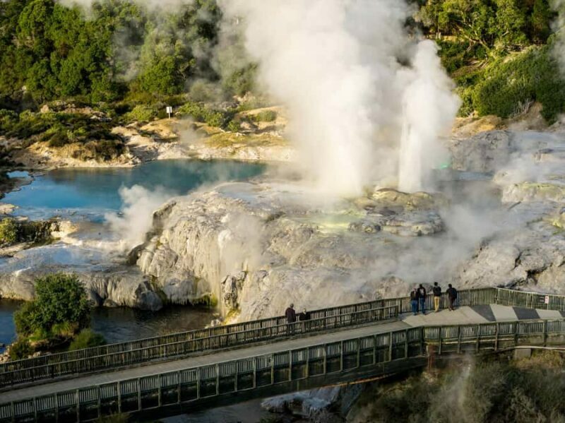 Te Puia: Te R Guided Day Tour - Key Points