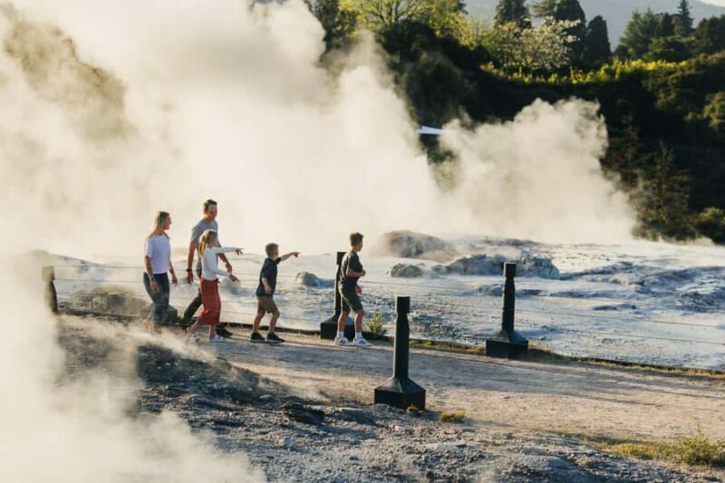 Te Puia: Te R Guided Day Tour - Who Will Love This Tour?