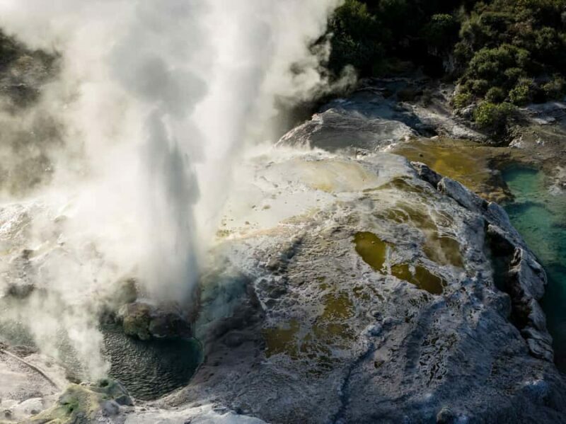 Te Puia: Te R Guided Day Tour - The Sum Up