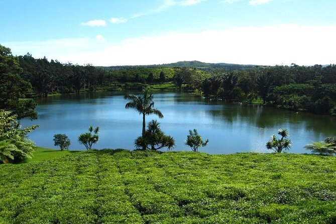 Tea and Culture Route - Highlights of the Day