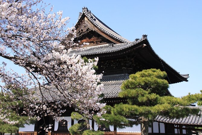 Tea Ceremony Experience & Nishiki Market Walking Tour - Nishiki Market Walking Tour