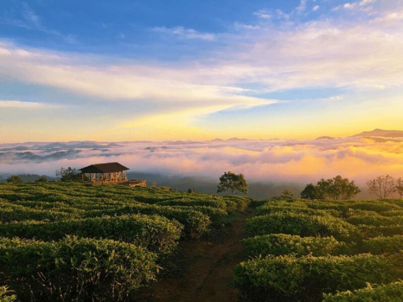 Tea & Coffee Tour - Itinerary Breakdown