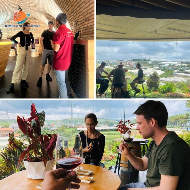 Tea & Coffee Tour - Arabica Coffee Plantations