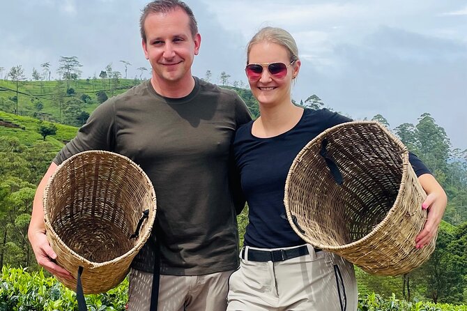 Tea Factory Plantation and Water Falls Tour - Tour Guide Expertise