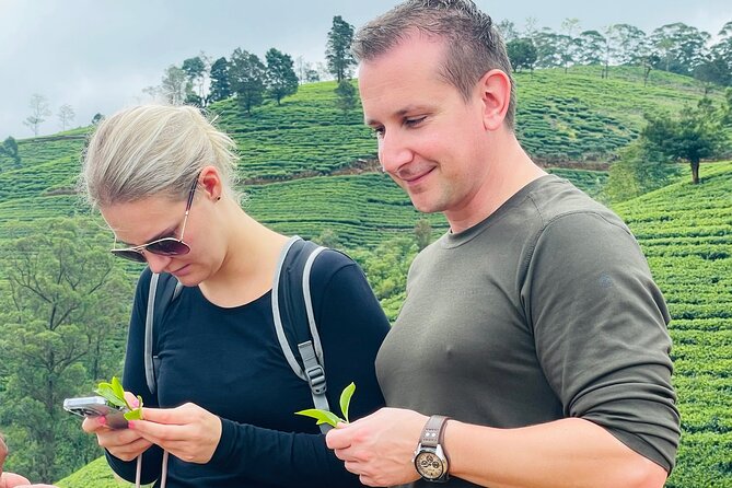 Tea Factory Plantation and Water Falls Tour - Traveler Reviews