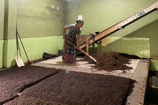Tea Factory Tour With Tea Tasting Session - Meeting Point and Directions