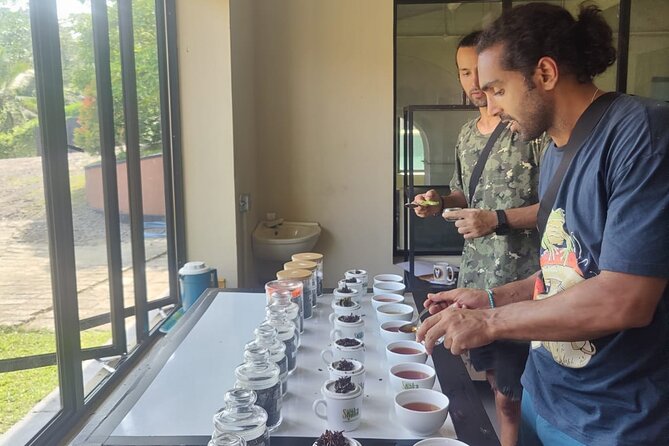 Tea Factory Tour With Tea Tasting Session - Accessibility and Participation