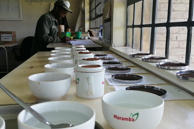 Tea Farm Experience at Riara Tea Farm And Factory Tour - About Riara Tea Farm