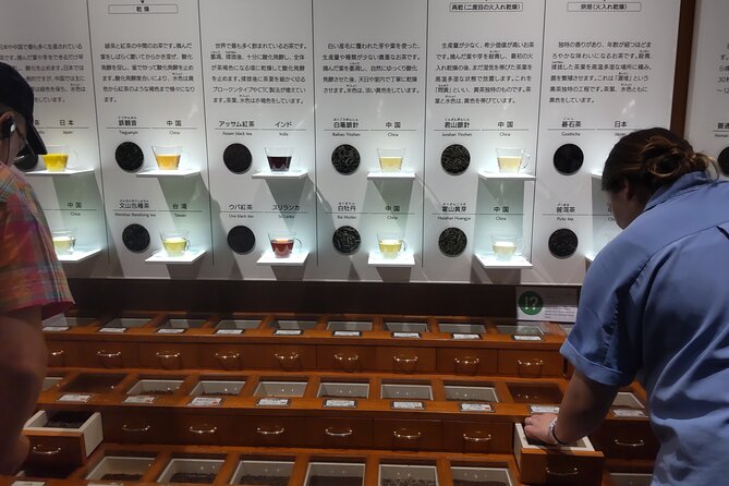 Tea Museum, Shizuoka and Guinness World Records Bridge V-G - Accessibility and Additional Information