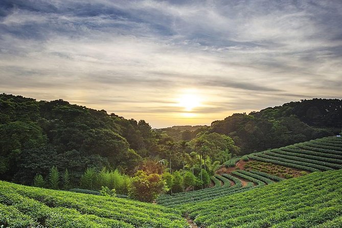 Tea of Taipei: Small-Group Tour With Taipei City Sightseeing - Pickup Details