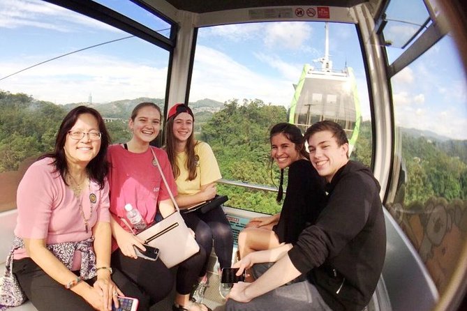Tea of Taipei: Small-Group Tour With Taipei City Sightseeing - Bagua Tea Plantation