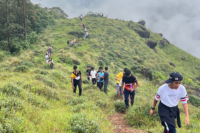 Tea Plantation, Grass Land and Mountain Hiking in Munnar - Key Points