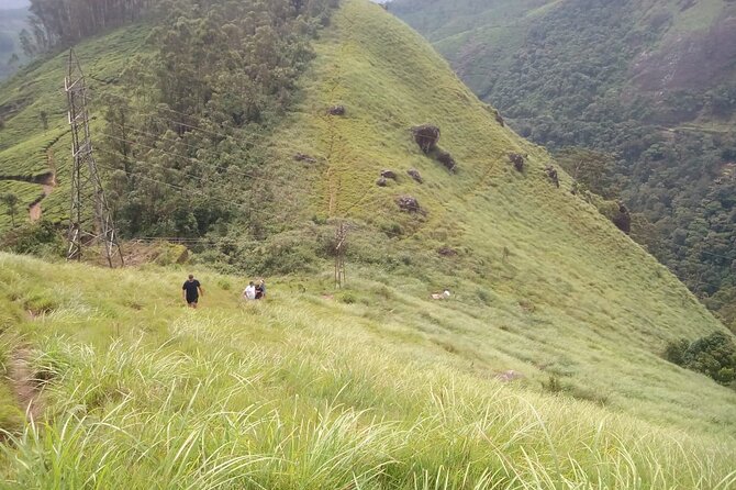 Tea Plantation, Grass Land and Mountain Hiking in Munnar - Hiking Details