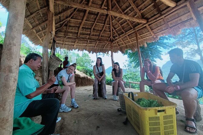 Tea Plantation Tour in Ella, Sri Lanka - Accessibility and Fitness