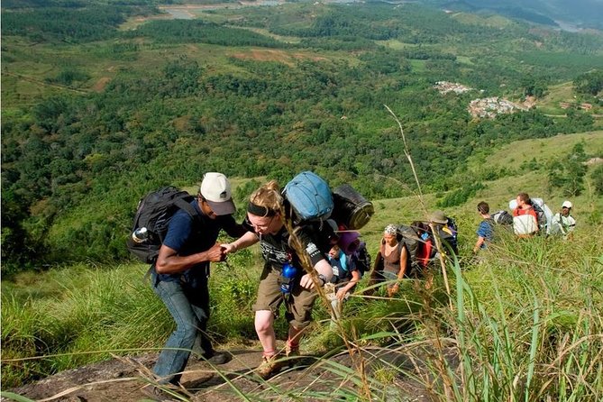 Tea Plantation Walk and Stay in Valley View Room (By Munnar Info) - Meeting and End Point