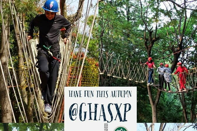 Tea Top Adventure Activities - Exploring the Palampur Tea Top Adventure