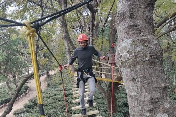 Tea Top Adventure Activities - Who Should Opt for This Tour?
