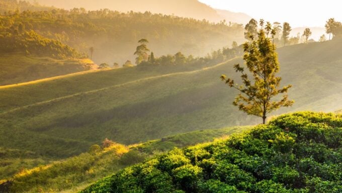 Tea Trail of Nuwara Eliya - Frequently Asked Questions
